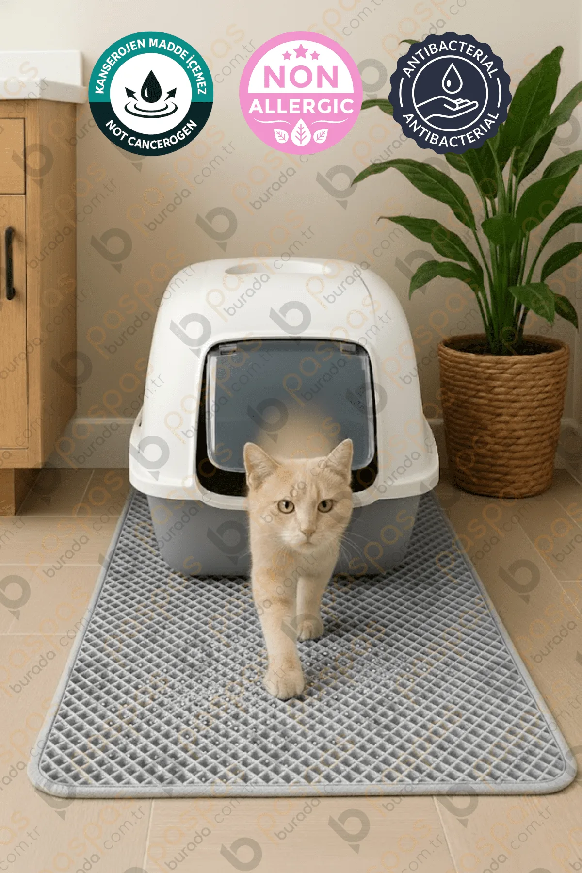 Kedi Tuvalet Paspası Açık Gri