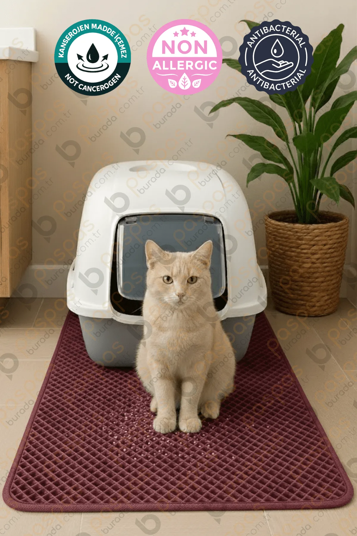 Kedi Tuvalet Paspası Bordo
