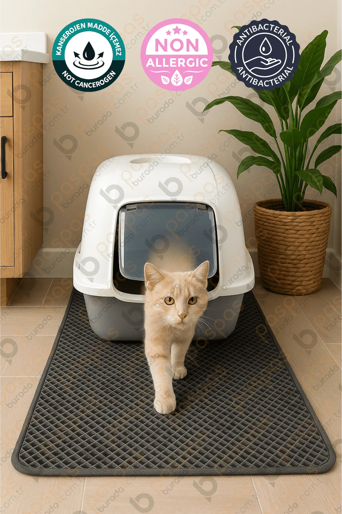 Kedi Tuvalet Paspası Füme