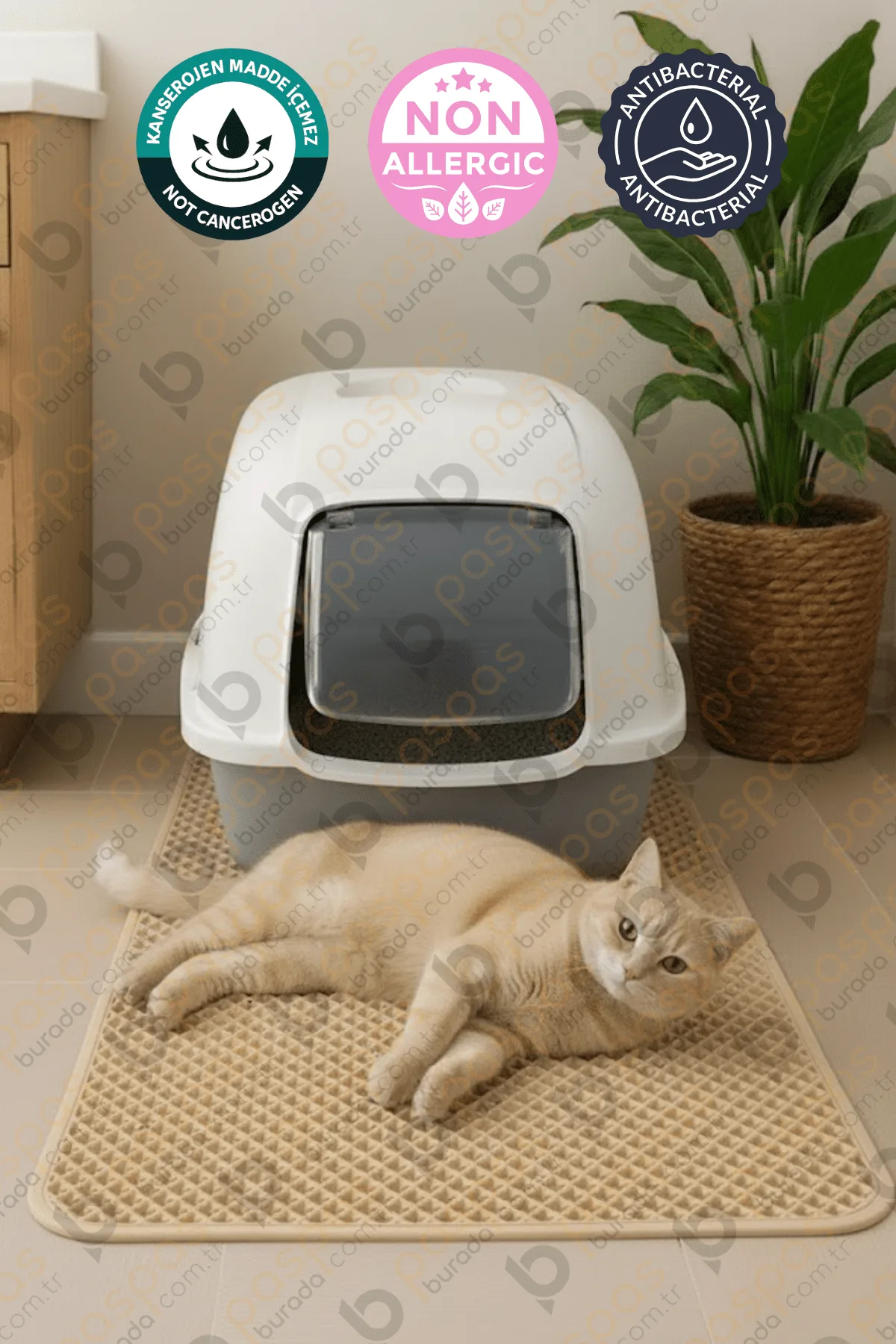 Kedi Tuvalet Paspası Krem