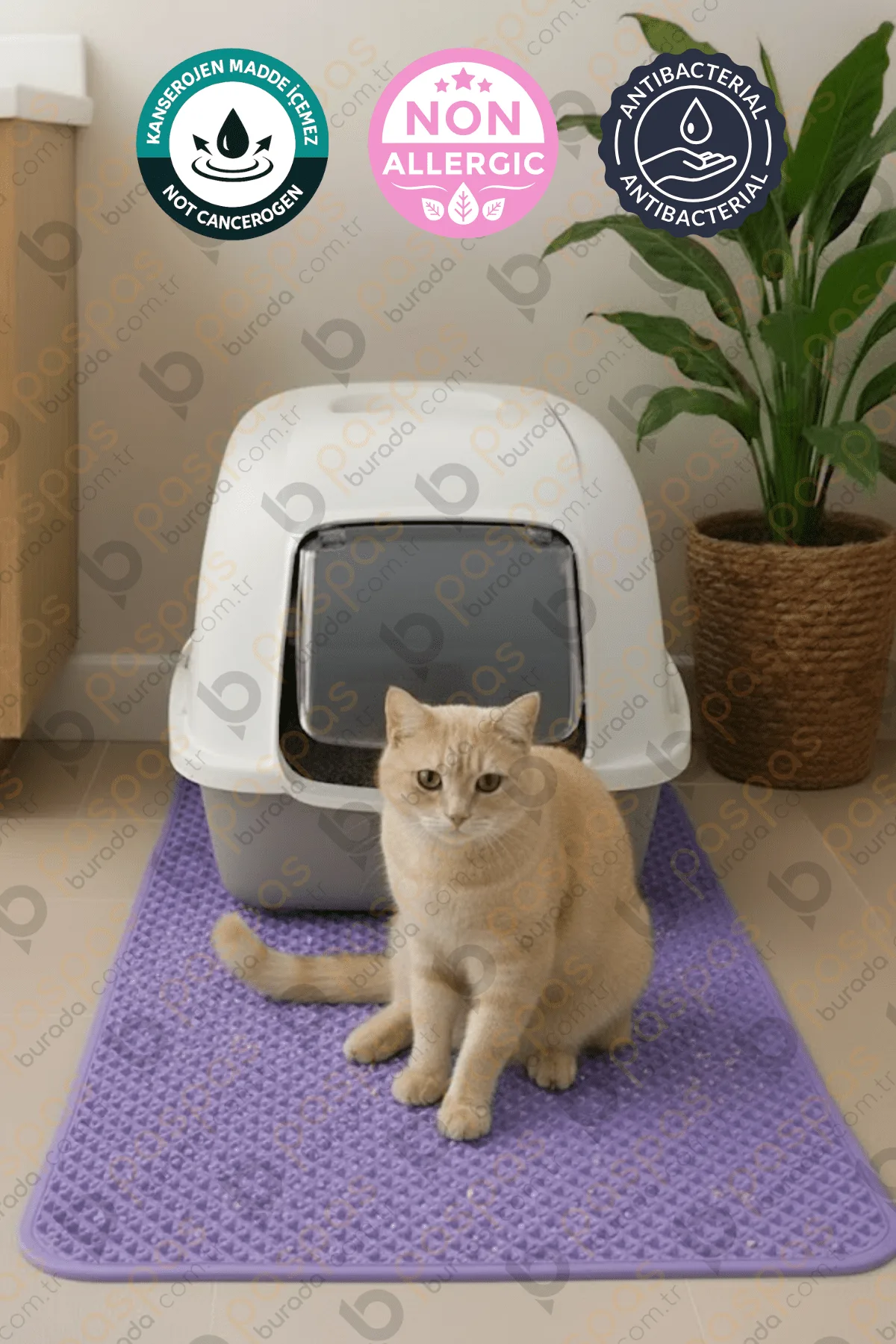 Kedi Tuvalet Paspası Lila