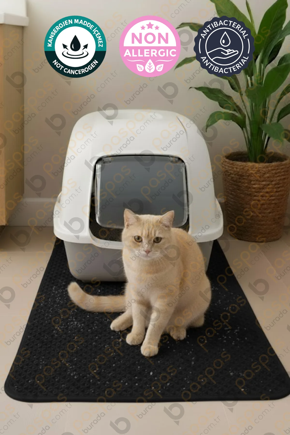 Kedi Tuvalet Paspası Siyah