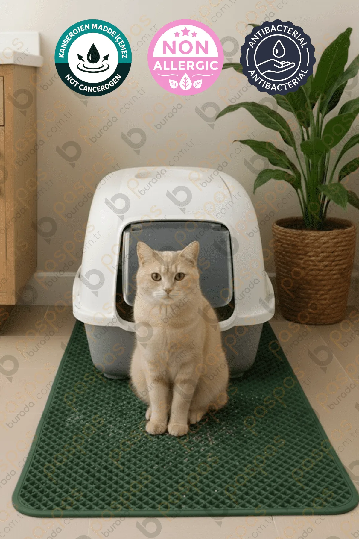 Kedi Tuvalet Paspası Yeşil