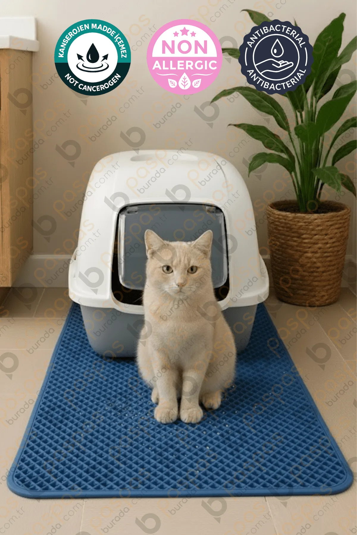 Kedi Tuvalet Paspası Mavi