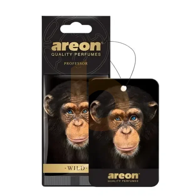 Areon Wild Professor Oto Araç Kokusu