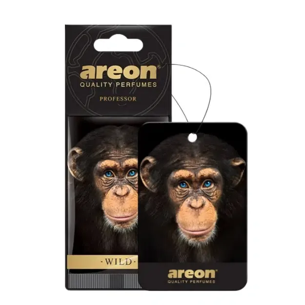 Areon Wild Professor Oto Araç Kokusu